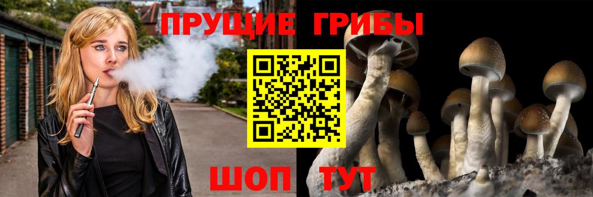 Псилоцибиновые грибы GOLDEN TEACHER  Вход с VPN  Большой Камень  где можно купить наркотик  Псилоцибиновые грибы мицелий 